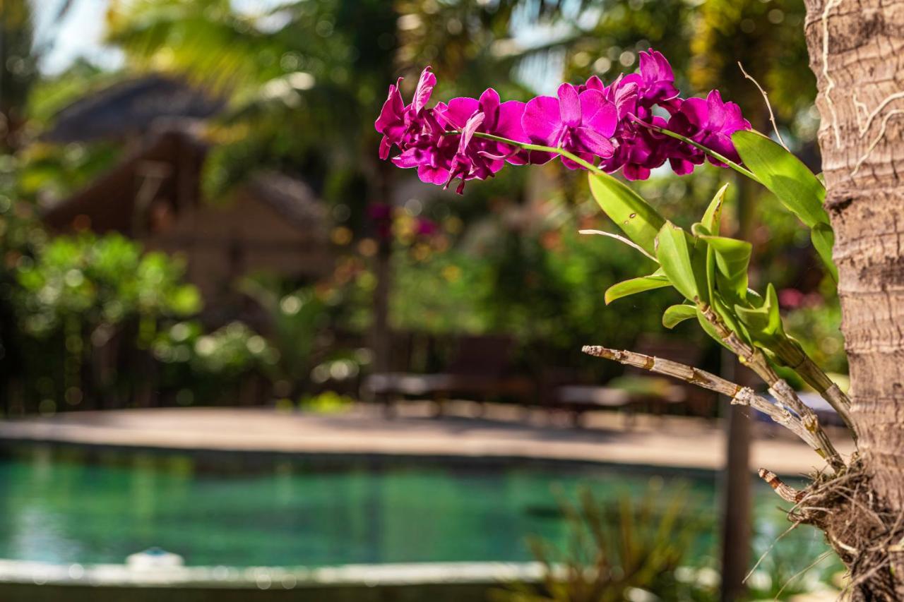 Ventura Barra Grande Hotel Barra Grande  Kültér fotó